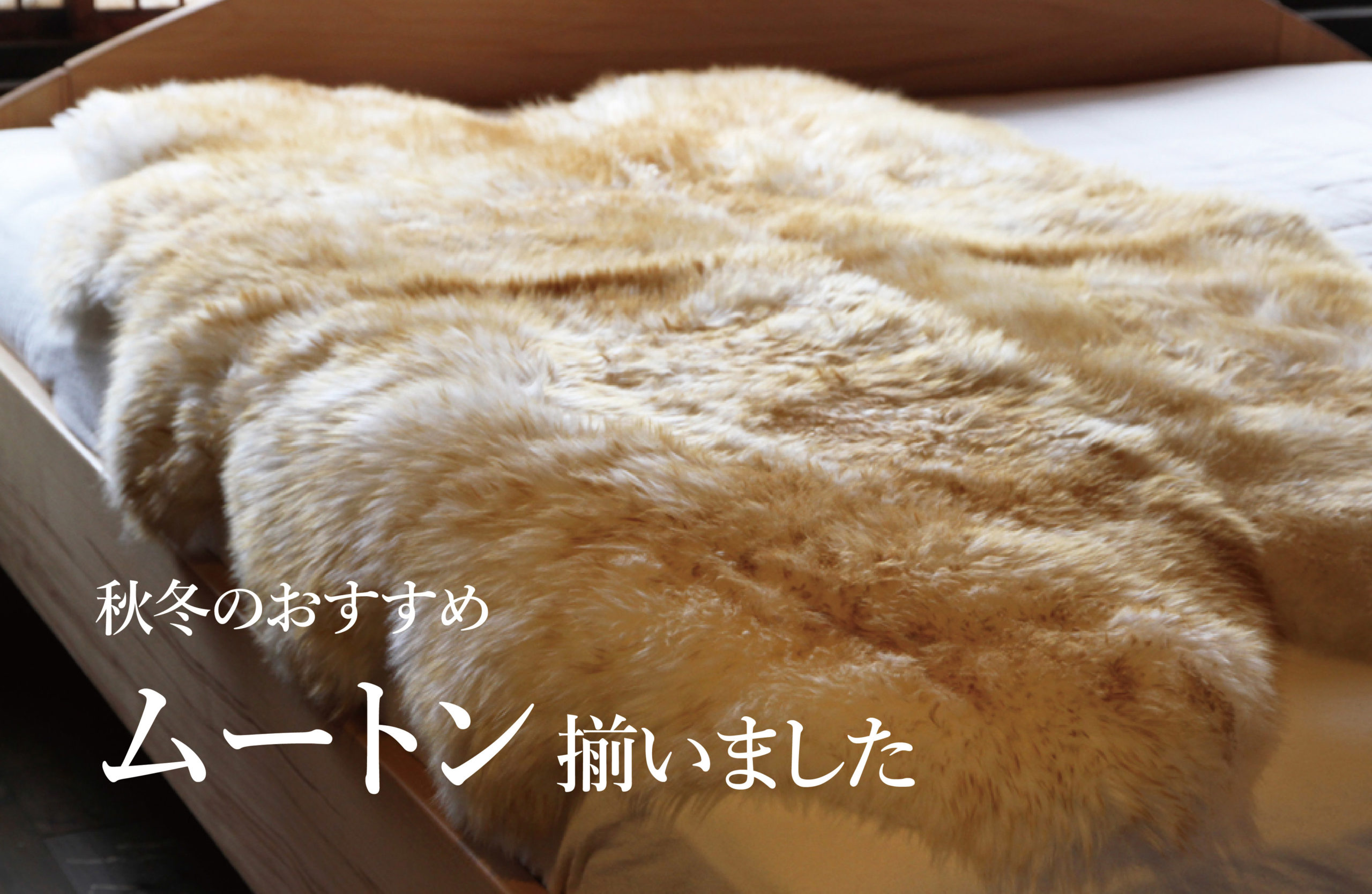 【新入荷情報】秋冬のおすすめ ムートン揃いました！
